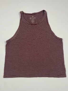 American Eagle Outfitters brown and White Striped Fitted Tank